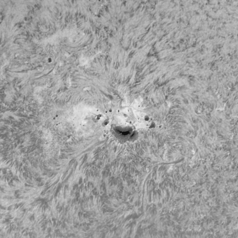 2月11日の太陽 Ha 版