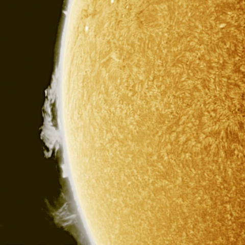 3月03日の太陽 Ha 擬似カラー版
