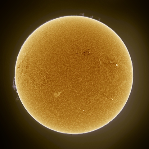 3月03日の太陽 Ha 擬似カラー版