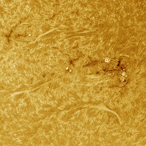 3月10日の太陽 Ha 擬似カラー版