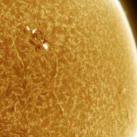 4月14日の太陽 Ha 擬似カラー版