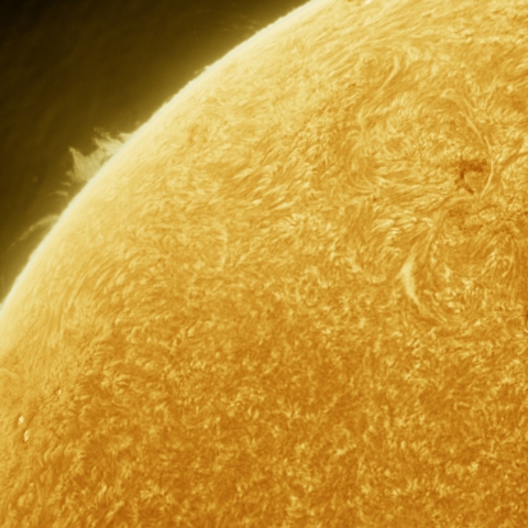 4月14日の太陽 Ha 擬似カラー版