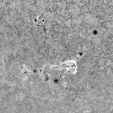 7月28日の太陽 Ha版