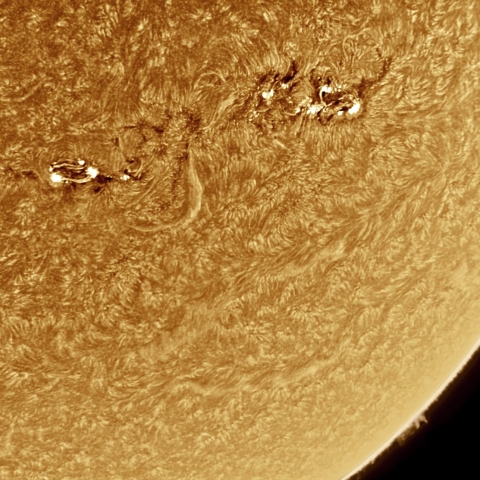 7月28日の太陽 Ha 擬似カラー版
