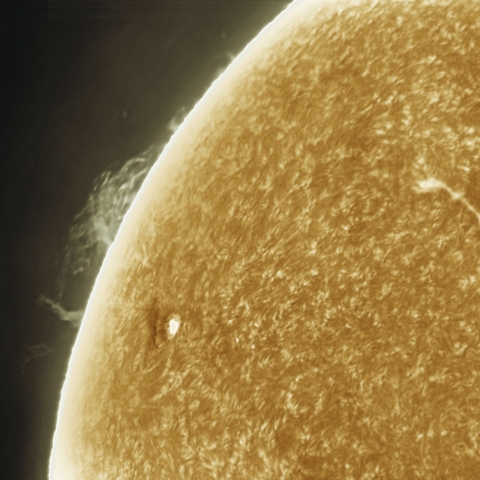 7月28日の太陽 Ha 擬似カラー版