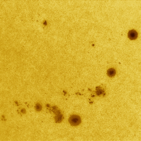 7月28日の太陽 白色光 擬似カラー版