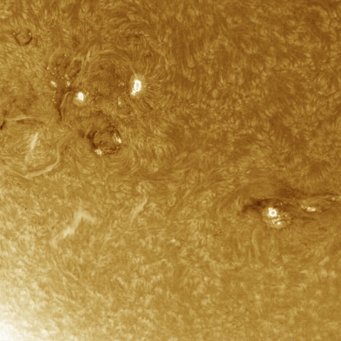 8月04日の太陽 Ha 擬似カラー版