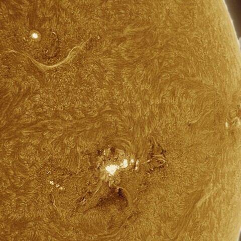 8月13日の太陽 Ha 擬似カラー版