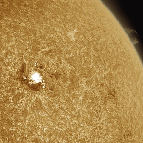 8月17日の太陽 Ha 擬似カラー版