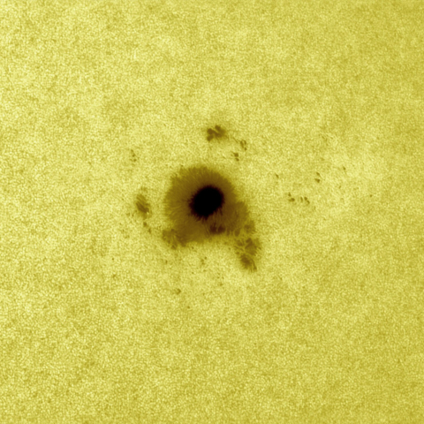 8月17日の太陽 白色光 擬似カラー版