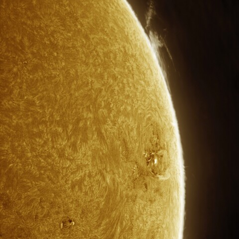 9月08日の太陽 Ha 擬似カラー版