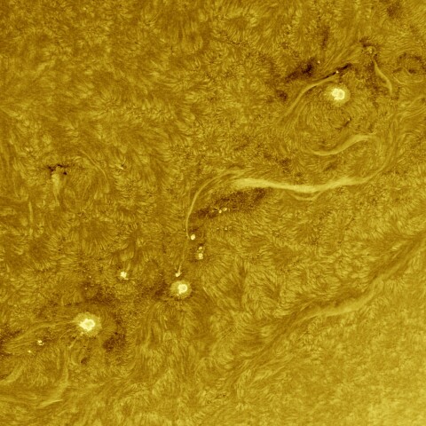 9月08日の太陽 Ha 擬似カラー版