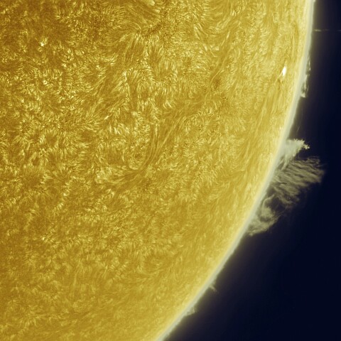 9月14日の太陽 Ha 擬似カラー版