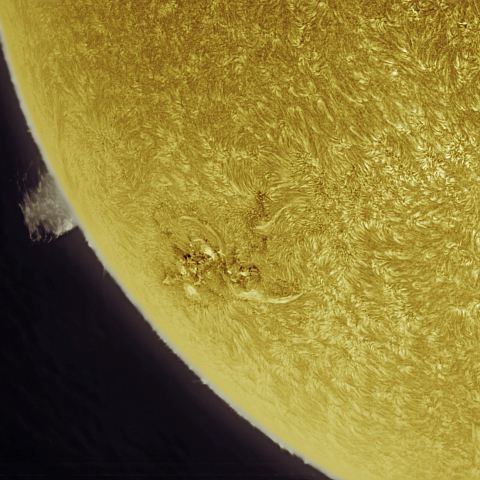 9月14日の太陽 Ha 擬似カラー版