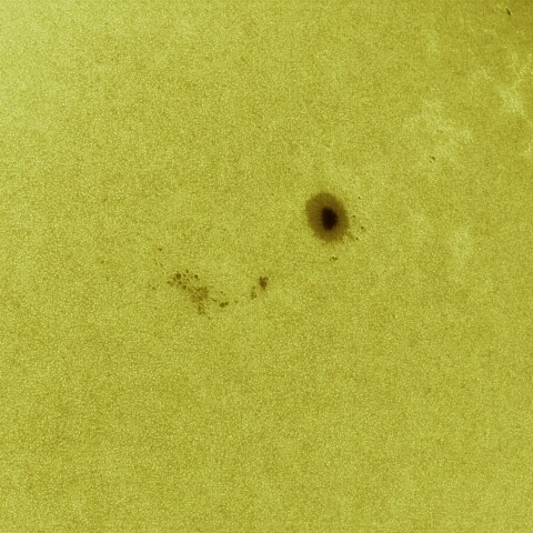 9月14日の太陽 白色光 擬似カラー版