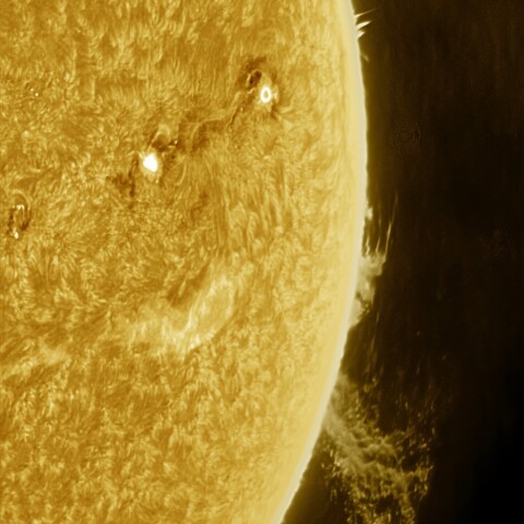 11月17日の太陽 Ha 擬似カラー版