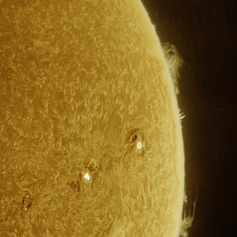 11月17日の太陽 Ha 擬似カラー版