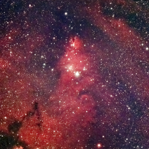 VESPERA II で撮るNGC2264