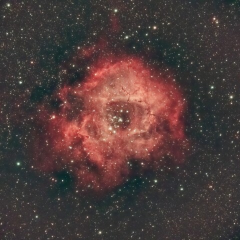 VESPERA II で撮るNGC2244