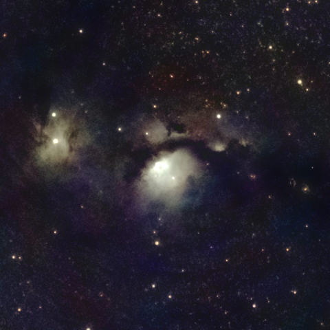 75085: M78星雲 by masa-saito - 天体写真ギャラリー 75085: M78星雲 by masa-saito - 天体写真ギャラリー