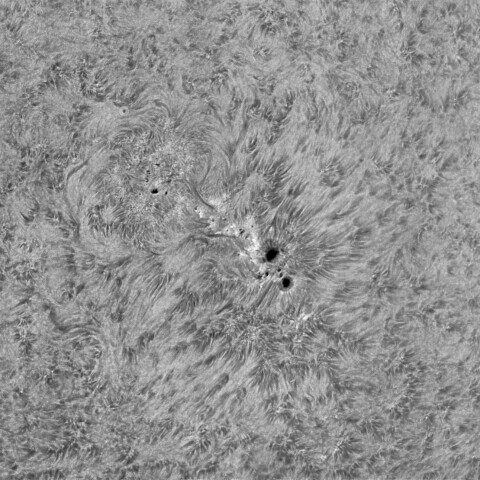 03月09日の太陽 Ha