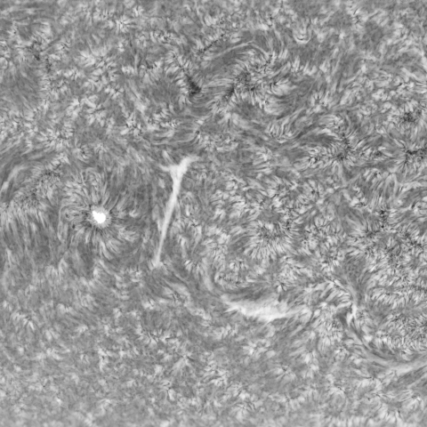 Apollo-M Mini First Llight 5月2日