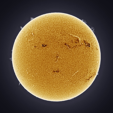 6月19日の太陽 擬似カラー版