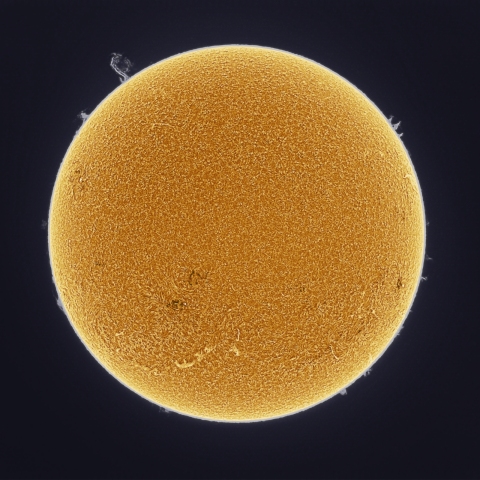 7月2日の太陽 擬似カラー版