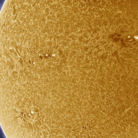 7月17日の太陽 擬似カラー版