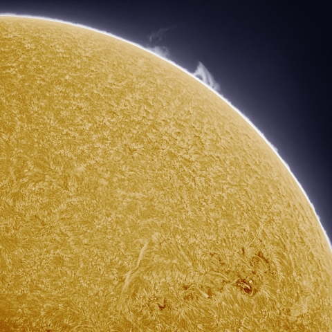 7月24日の太陽 擬似カラー版