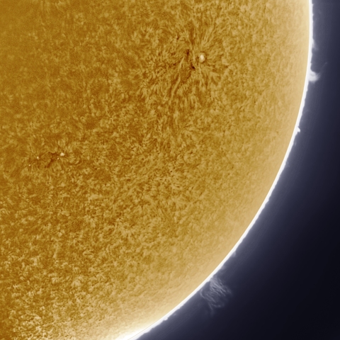 7月24日の太陽 擬似カラー版