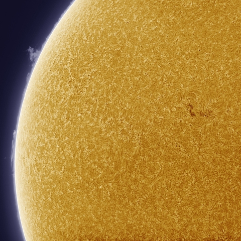 7月31日の太陽 擬似カラー版