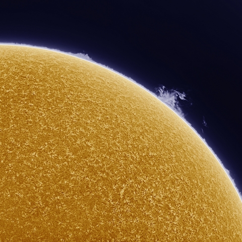 7月31日の太陽 擬似カラー版