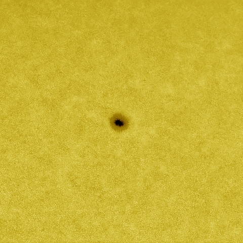 8月7日の太陽 粒状斑 擬似カラー版