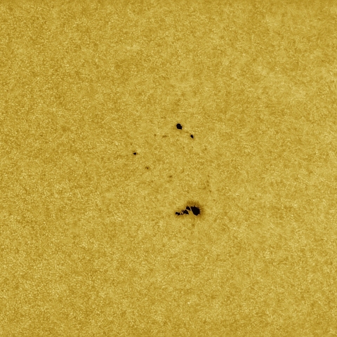 8月15日の太陽 白色光 擬似カラー版