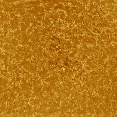 8月15日の太陽 Ha 擬似カラー版