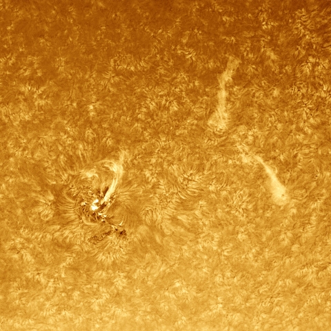 8月15日の太陽 Ha 擬似カラー版