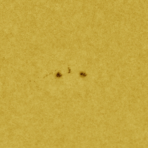 8月27日の太陽 白色光 擬似カラー版