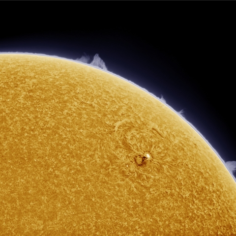 8月27日の太陽 Ha 擬似カラー版