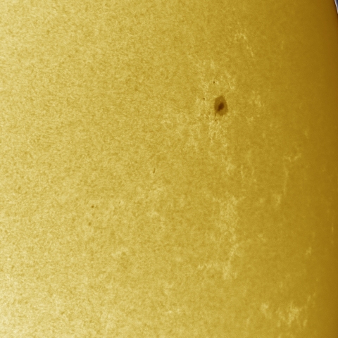 9月11日の太陽 白色光 擬似カラー版