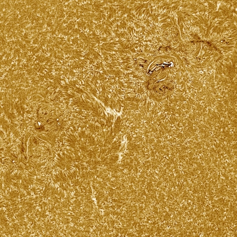 9月11日の太陽 Ha 擬似カラー版