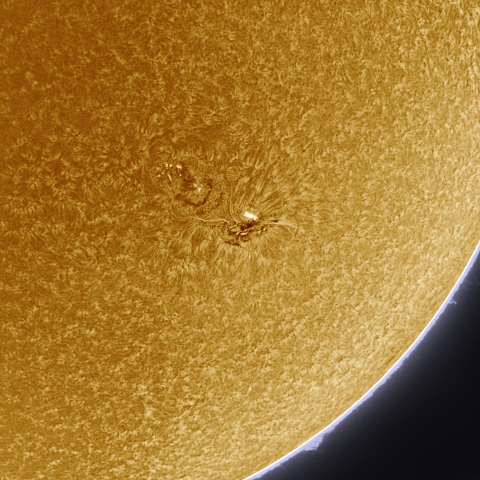 10月02日の太陽 Ha 擬似カラー版