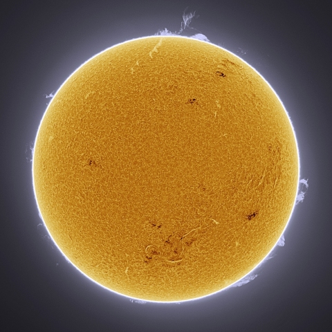 10月16日の太陽 Ha 擬似カラー版