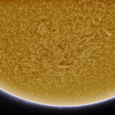 10月16日の太陽 Ha 擬似カラー版