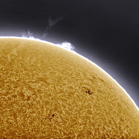 10月16日の太陽 Ha 擬似カラー版