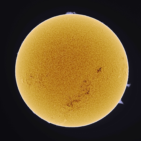 10月23日の太陽 Ha 擬似カラー版