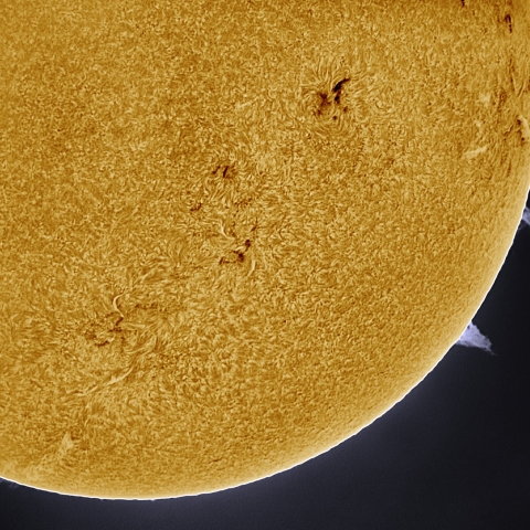 10月23日の太陽 Ha 擬似カラー版