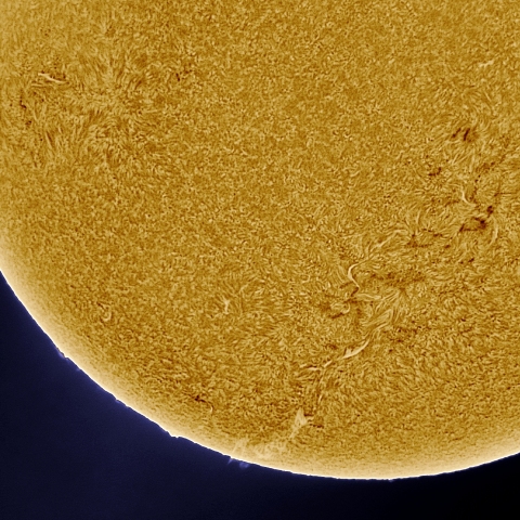 10月23日の太陽 Ha 擬似カラー版