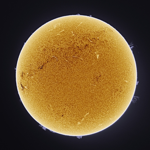 11月06日の太陽 Ha 擬似カラー版