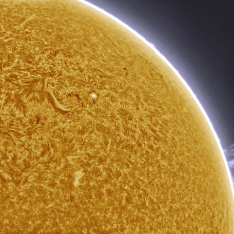 11月06日の太陽 Ha 擬似カラー版